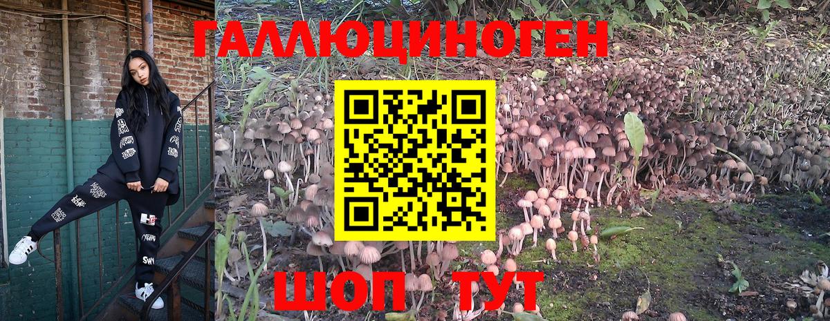 Галлюциногенные грибы Cubensis  Галлюциногенные грибы мухоморы  Вход с VPN  Сокол 