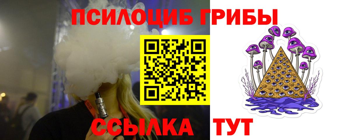Псилоцибиновые грибы Cubensis Сокол